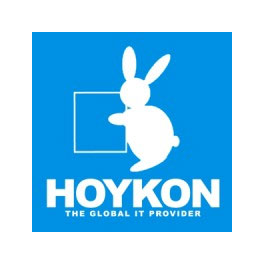 Hoykon-logo